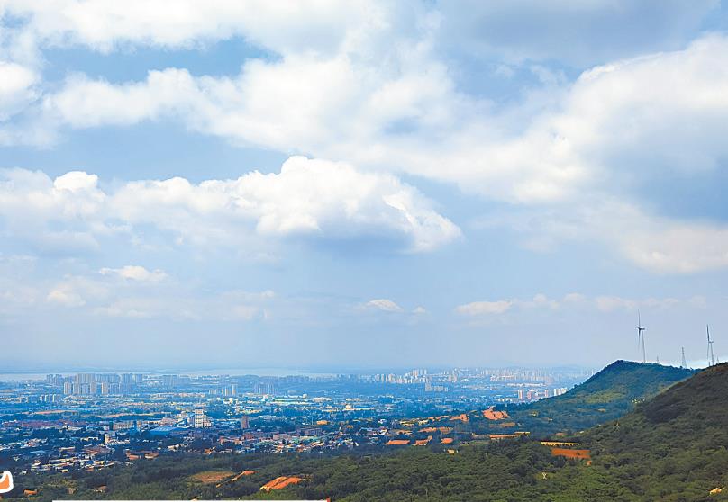 青山.jpg