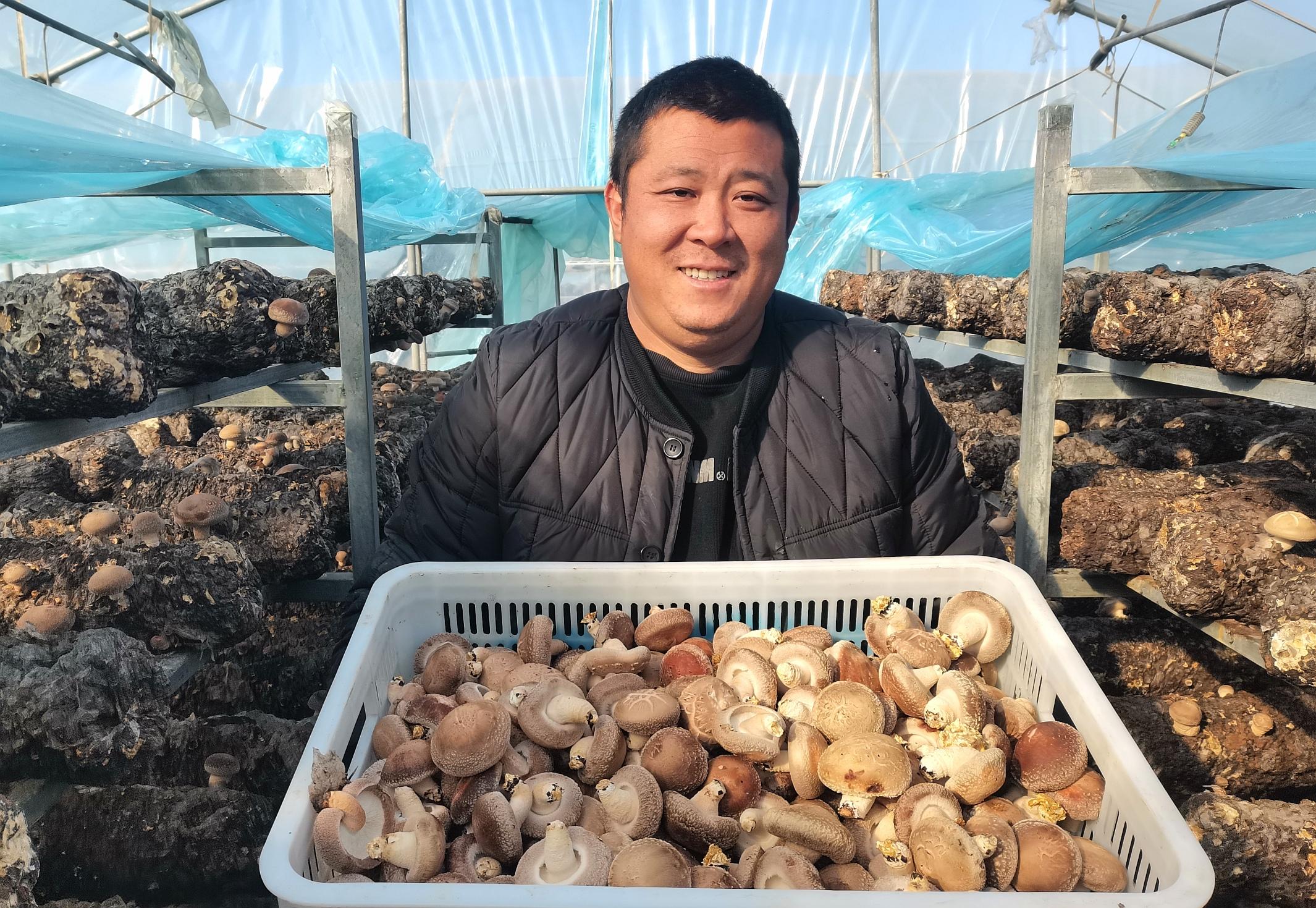 香菇1.jpg